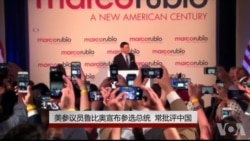 美参议员鲁比奥宣布参选总统 常批评中国 美参议员鲁比奥宣布参选总统 常批评中国