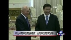 时事大家谈:习近平是中国的曼德拉,还是中国的李光耀? 时事大家谈:习近平是中国的曼德拉,还是中国的李光耀?