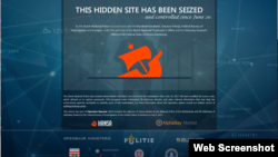 网站文字显示:“这个隐藏的网站已经被俘获和控制”。下面有网站名字“阿尔法湾”( AlphaBay)和“汉萨市场”( Hansa Market)。