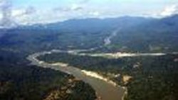 ကချင်အထက်အပိုင်းမှာ ကြွက်တွေသောင်းကျန်းလို့ တောင်ယာခင်းအများအပြား ပျက်စီး ကချင်အထက်အပိုင်းမှာ ကြွက်တွေသောင်းကျန်းလို့ တောင်ယာခင်းအများအပြား ပျက်စီး