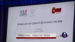 中国经济学家:中国经济患了重感冒 中国经济学家:中国经济患了重感冒