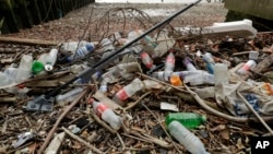 英国伦敦泰晤士河边被冲上岸的垃圾(2018年2月5日)