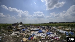 马航MH17号航班坠毁现场的残骸(2014年7月23日)