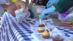 西维吉尼亚路杀动物节 西维吉尼亚路杀动物节