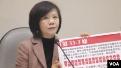 台湾立法院民进党党团干事长、立法委员叶宜津(美国之音杨明)