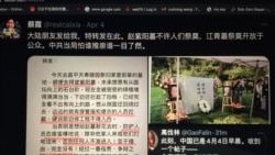 蔡霞推特转发清明节相关帖子(电脑截图)