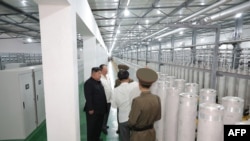 这张未注明日期的照片由朝鲜官方的朝鲜中央通讯社(KCNA)于2024年9月13日通过KNS发布,显示朝鲜领导人金正恩(左)视察核武器研究所和武器级核材料生产基地.