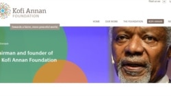 ရခိုင်ပြည်နယ်ဆိုင်ရာ အကြံပေးကော်မရှင်ပေါ် သဘောထားအမြင်များ