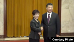 洪秀柱与习近平握手(取自洪秀柱脸书)