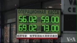 经济专家: 俄罗斯面临长期衰退痛苦 经济专家: 俄罗斯面临长期衰退痛苦