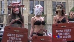 သက်တံရောင်သတင်းလွှာ သက်တံရောင်သတင်းလွှာ