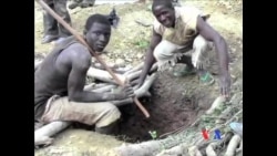 尼日利亚淘金热危及儿童健康 尼日利亚淘金热危及儿童健康