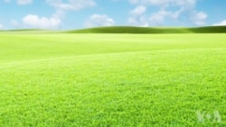 住房新风尚 住房新风尚