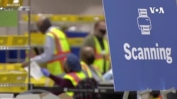 美国总统选举引盟友国家密切关注 美国总统选举引盟友国家密切关注