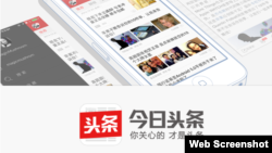 网上的今日头条手机版下载(网页截图)
