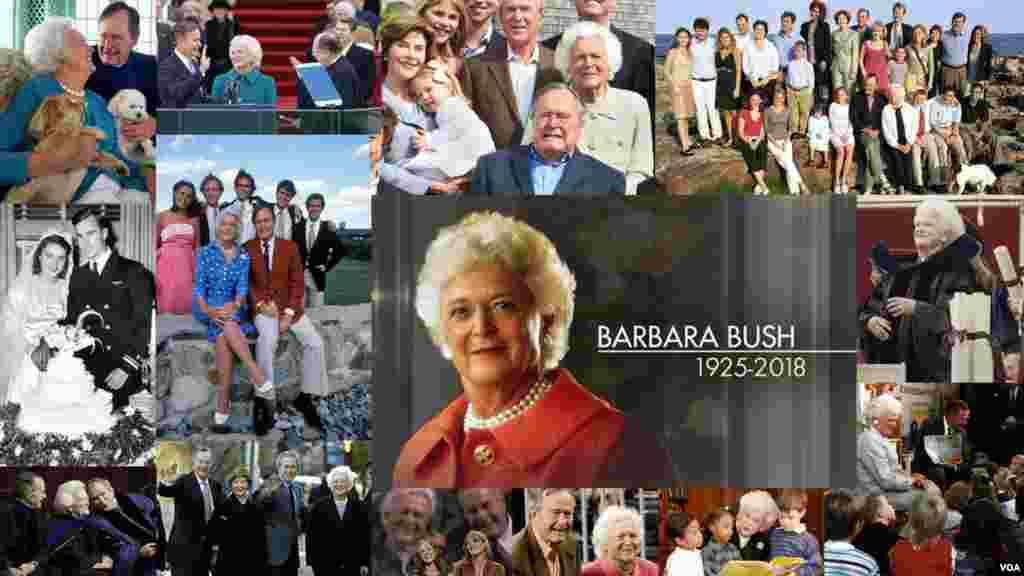 广受尊敬的前美国第一夫人芭芭拉·布什(1925-2018)一生中多幅照片的集成。她在2018年4月17日去世,享年92岁。她是美国第41任总统乔治·H·W·布什(又称老布什)的夫人,也是美国第43任总统乔治·W·布什(又称小布什)的母亲。