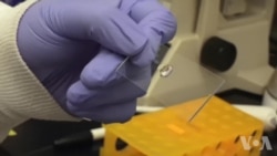 未来有望使用磁粒子缓解疼痛 未来有望使用磁粒子缓解疼痛