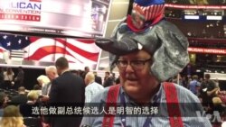 美国共和党全国代表大会:政治时装秀 美国共和党全国代表大会:政治时装秀