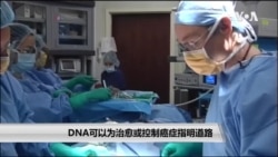 DNA可以为治愈或控制癌症指明道路 DNA可以为治愈或控制癌症指明道路