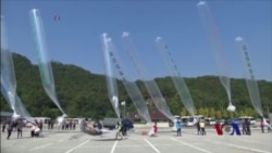 脱北者誓言继续向朝鲜放飞气球传单 脱北者誓言继续向朝鲜放飞气球传单