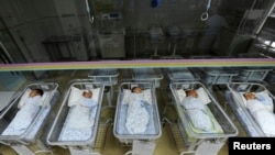 资料照:中国安徽合肥的一所医院里的新生儿。