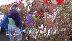 Chợ hoa Tết ở Little Saigon kém vui vì mưa gió Chợ hoa Tết ở Little Saigon kém vui vì mưa gió