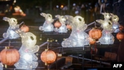 江苏省杭州西湖上迎接新春的兔子灯。(2023年1月11日)