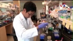 Thử nghiệm vắc-xin Ebola ở Tây Phi có thể thực hiện vào đầu năm 2015 Thử nghiệm vắc-xin Ebola ở Tây Phi có thể thực hiện vào đầu năm 2015