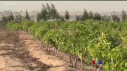 အီဂျစ်က မိုဘိုင်းလ်ရေသန့်စင်စနစ် အီဂျစ်က မိုဘိုင်းလ်ရေသန့်စင်စနစ်