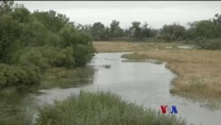 Nebraska ပြည်နယ်ရေရှားပါးမှု တူးမြောင်းသွယ်ပြီး မြစ်ရေရဖို့ကြိုးစား Nebraska ပြည်နယ်ရေရှားပါးမှု တူးမြောင်းသွယ်ပြီး မြစ်ရေရဖို့ကြိုးစား