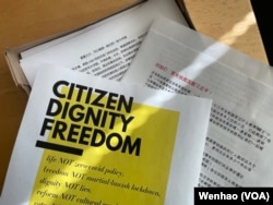 两名乔治·华盛顿大学中国留学生准备的反习近平海报(美国之音记者文灏拍摄)