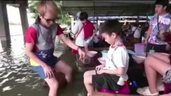 “ငါးတွေနဲ့တူတူ ခေါက်ဆွဲစားမယ်” ဆိုရှယ်မီဒီယာ လူကြည့်များ သတင်းတို  “ငါးတွေနဲ့တူတူ ခေါက်ဆွဲစားမယ်” ဆိုရှယ်မီဒီယာ လူကြည့်များ သတင်းတို