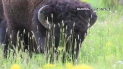 美国万花筒:国家公园之旅-捍卫美国西域的戴维斯城堡 美国万花筒:国家公园之旅-捍卫美国西域的戴维斯城堡