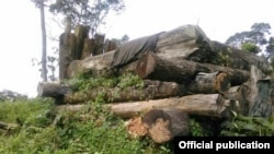 သိမ်းပိုက်လိုက်တဲ့ KIA စခန်း