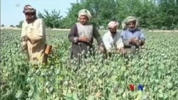 ဒီသီတင်းပတ် အာရှ စီးပွားရေး ဒီသီတင်းပတ် အာရှ စီးပွားရေး