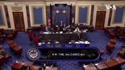 参议院通过两万亿美元经济刺激法案 参议院通过两万亿美元经济刺激法案