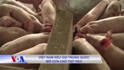 Việt Nam kêu gọi Trung Quốc mở cửa cho thịt heo Việt Nam kêu gọi Trung Quốc mở cửa cho thịt heo