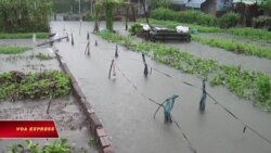 Tết buồn ở Lộc Hưng Sài Gòn Tết buồn ở Lộc Hưng Sài Gòn