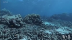 美专家：美中在环境议题上仍有很大合作空间