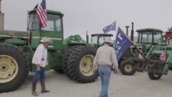 红色的德克萨斯由于蓝色增加而变为紫色 红色的德克萨斯由于蓝色增加而变为紫色