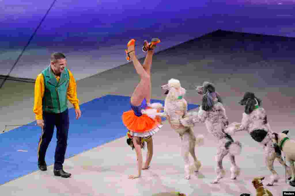 玲玲马戏团的驯兽师 Hans 以及 Mary Klose和小狗在玲玲马戏团(Ringling Bros. and Barnum & Bailey Circus)的最后一次表演中(2017年5月21日)