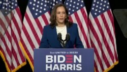 哈里斯做拜登的竞选伙伴被认为是历史性和安全的选择 哈里斯做拜登的竞选伙伴被认为是历史性和安全的选择