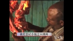 肯尼亚纪念独立50周年 肯尼亚纪念独立50周年