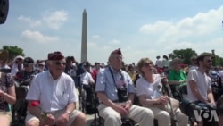 二战飞机飞越华盛顿 庆祝欧洲胜利日70年 二战飞机飞越华盛顿 庆祝欧洲胜利日70年