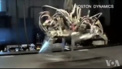 科学家研制奔跑如猎豹的机器人 科学家研制奔跑如猎豹的机器人