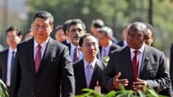 金砖国家表示对贸易保护主义的担忧