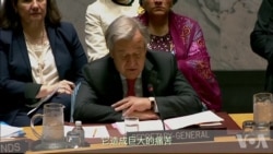 从支持到严厉批评 世界各国对打击叙利亚的反应 从支持到严厉批评 世界各国对打击叙利亚的反应