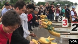 斯威士兰驻美大使加布里索·桂布(左3)2019年5月18日在华盛顿龙舟赛为龙舟点睛(美国之音锺辰芳拍摄)