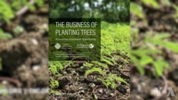 企业投资恢复森林和农田可赚大钱 企业投资恢复森林和农田可赚大钱