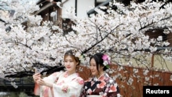 日本、中国、首尔的樱花与游客(32图)